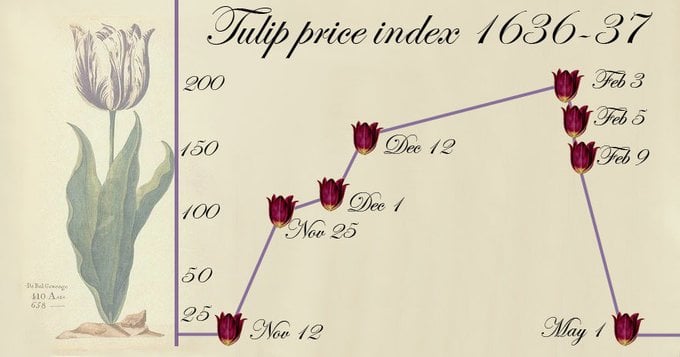 Tulip Bubble - Market Update 5/6 - USDOLLAR NFP Reversal Warning